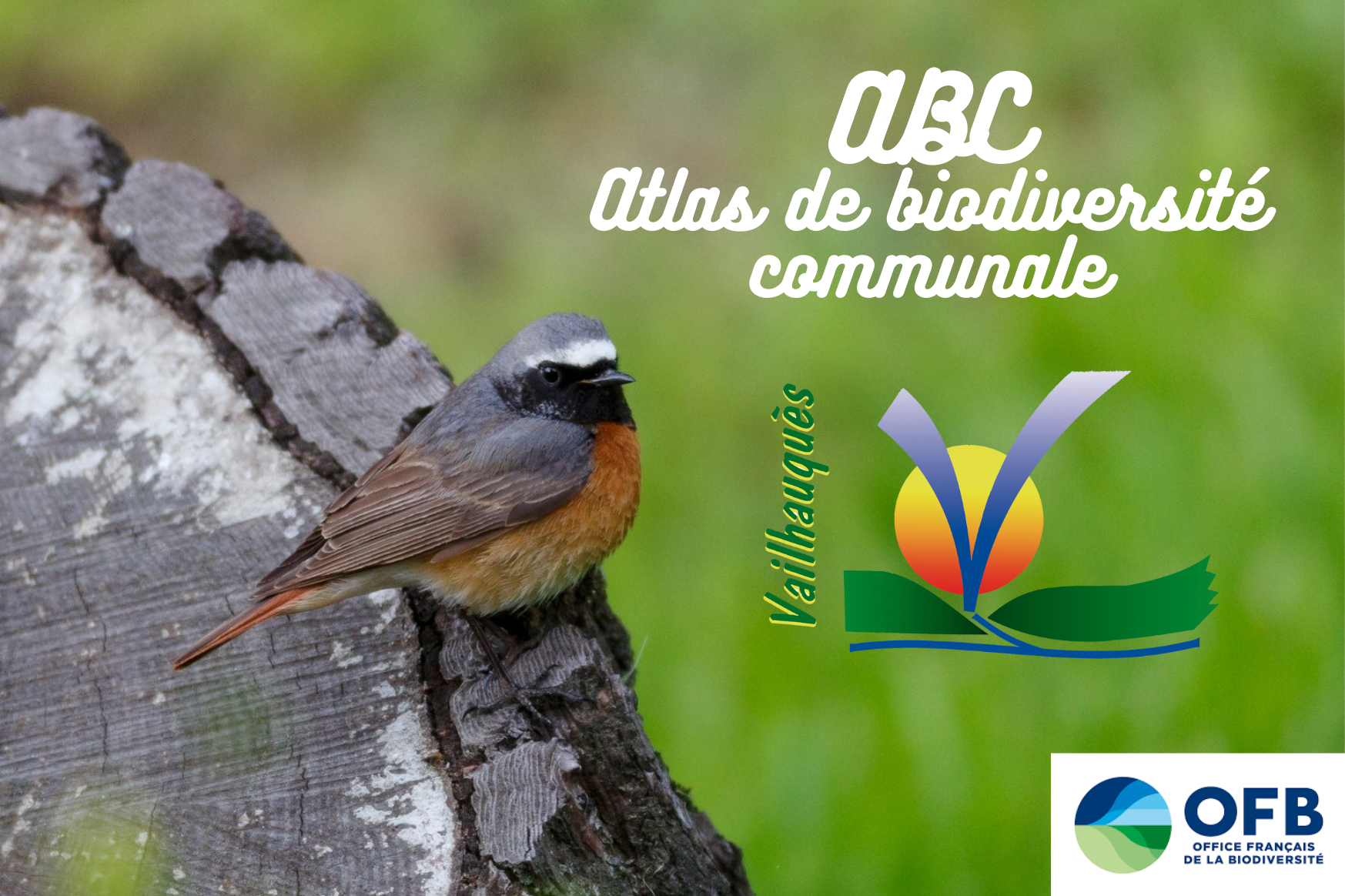 ABC Vailhauquès - Vertébrés